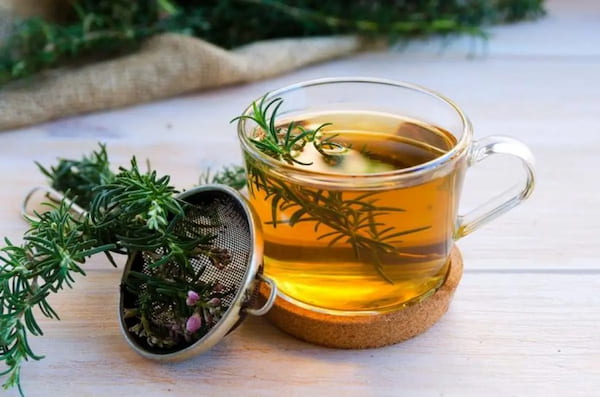 تصویر 3 از قیمت خرید اسانس گیاه رزماری + فروش ویژه